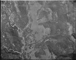 Aerial photograph ZS_14_0010, Teton County, Montana, 1937 by United States. Forest Service. Northern Region