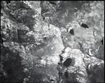 Aerial photograph FA_62_0093, Idaho County, Idaho, 1939