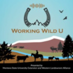 Working Wild University by Justin W. Angle