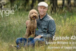Spencer Williams is in the business of happy dogs by Justin W. Angle