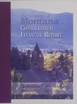 Consolidated Financial Report 2003