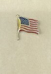 862(XV_i):055 - American Flag Pin