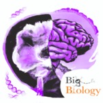 Episode 071: A Tattoo on the Brain: The neurobiology of Alzheimer's disease