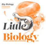[Episode 104b]: Little Biology: Why can’t I regrow my arm? by Art Woods and Marty Martin