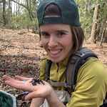 Madaline Cochrane: Wildlife Biology (M.S.) on How Salamanders are Reacting to Climate Change