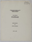 State of Montana v. Atlantic Richfield Company No. CV-83-317-HLN-PGH: Expert Report of David M. Emmons by David M. Emmons