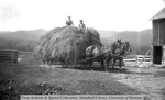Hay wagon by Mary Helterline Flynn