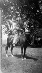 Tom on horseback by Mary Helterline Flynn