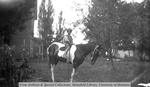 Jack on horseback by Mary Helterline Flynn