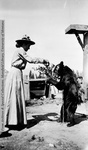 Mary feeding a bear by Mary Helterline Flynn
