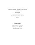 MSW Portfolio: Grounded in Perpetuity and Well-being of the Future Generation by Silver A. Little Eagle