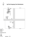 Supplemental Figure 8.6. Knapping tool distribution on IIg by Anna Marie Prentiss, Ethan Ryan, Ashley Hampton, Kathryn Bobolinksi, Pei-Lin Yu, Matthew Schmader, and Alysha Edwards