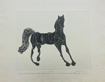 M89-014: "Horse" by Marian Korn (1914-1987)