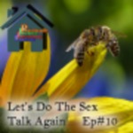 Let's Do The Sex Talk Again by John Sommers-Flanagan and Sara Polanchek