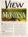 Research View, Fall 2000
