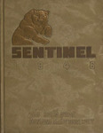 The Sentinel, 1946 by Montana State University (Missoula, Mont.). Associated Students