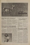 Montana Kaimin, October 8, 1981