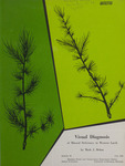 Visual Diagnosis of Mineral Deficiency in Western Larch