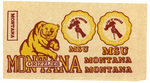 RG94-081: Montana Grizzlies Decal by University of Montana--Missoula.