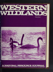 Western Wildlands, volume 06, number 3, 1980 by University of Montana (Missoula, Mont. : 1965-1994). Montana Forest and Conservation Experiment Station