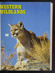 Western Wildlands, volume 17, number 1, 1991 by University of Montana (Missoula, Mont. : 1965-1994). Montana Forest and Conservation Experiment Station