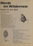 Words on Wilderness, 1985